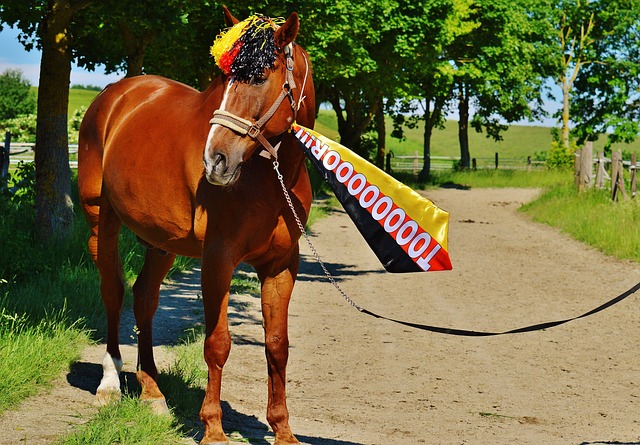 丁俊晖：别逼我展示斯诺克技艺！.